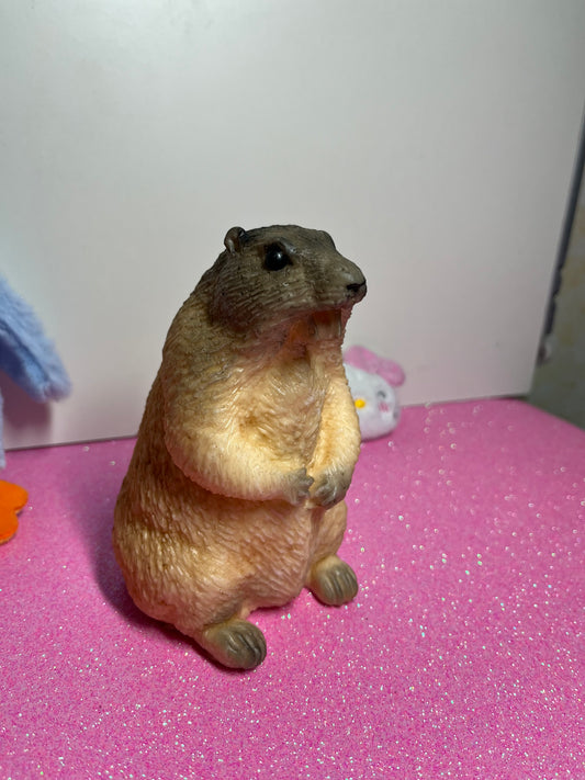 Funny Marmot Taba Squishy