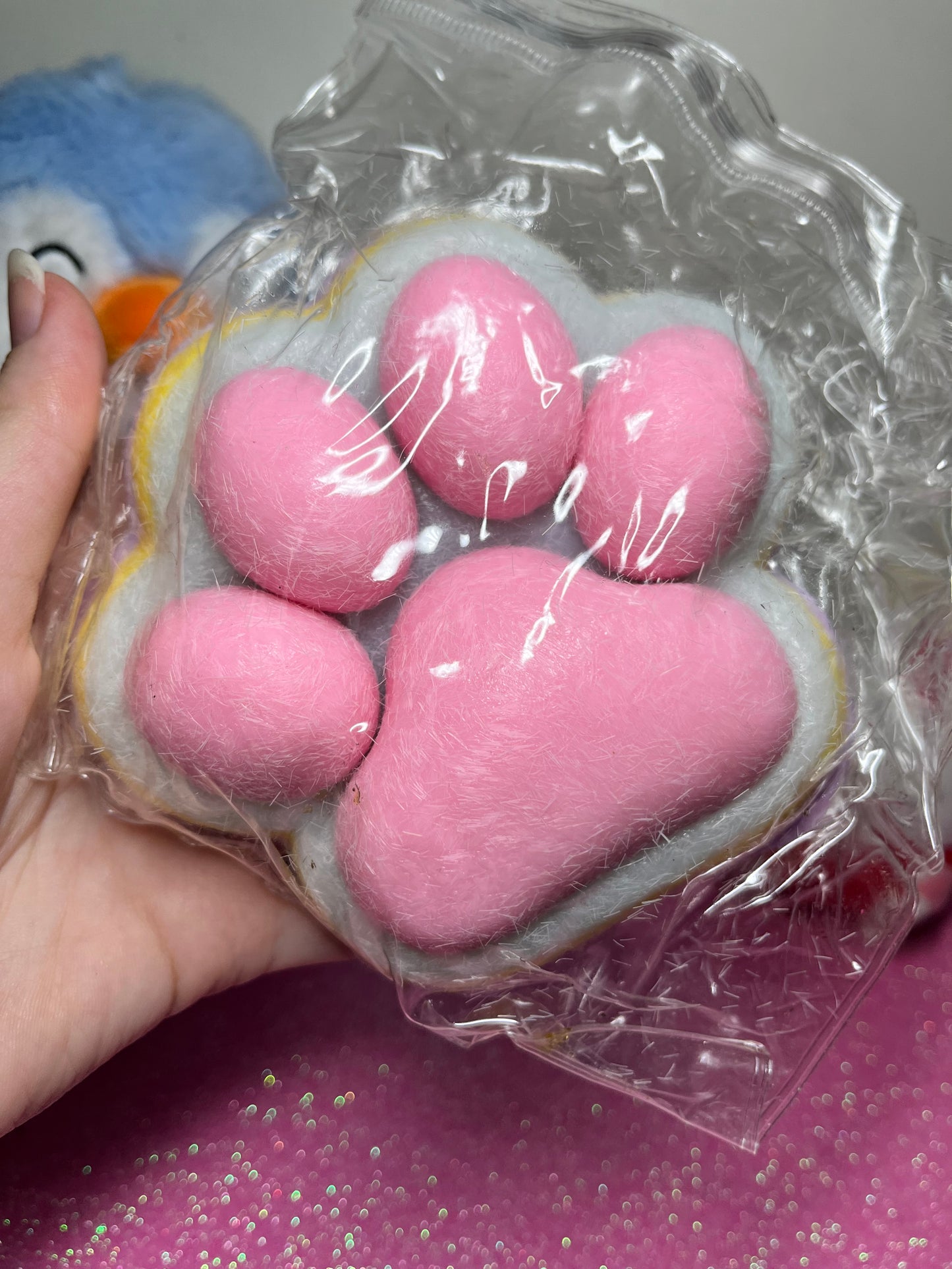 Big Colourful Paw Taba Squishy
