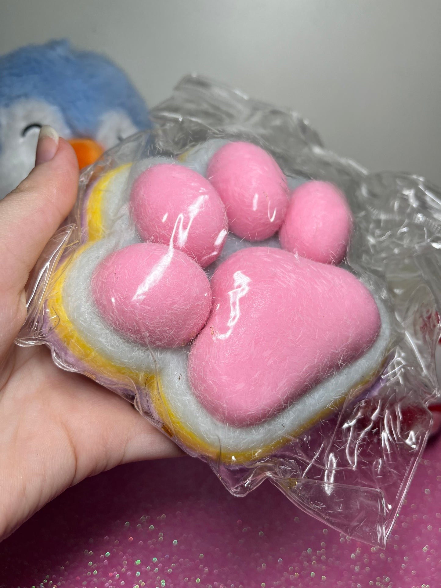 Big Colourful Paw Taba Squishy