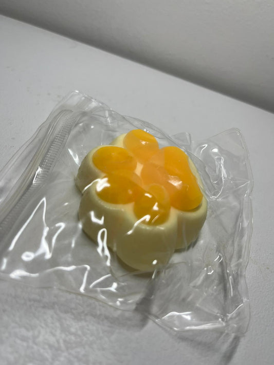 Little Orange Paw Taba Squishy