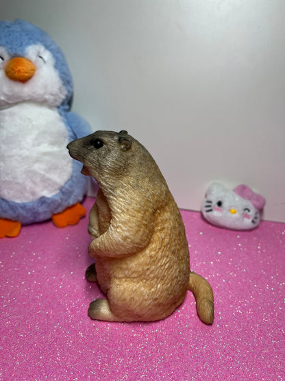 Funny Marmot Taba Squishy