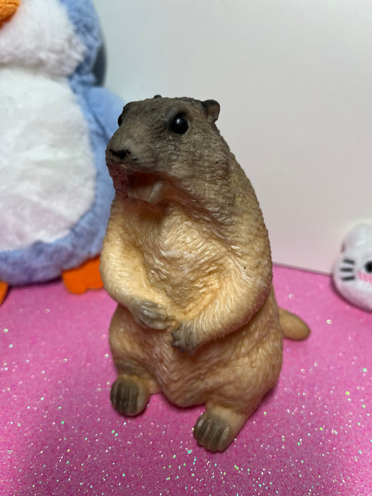 Funny Marmot Taba Squishy
