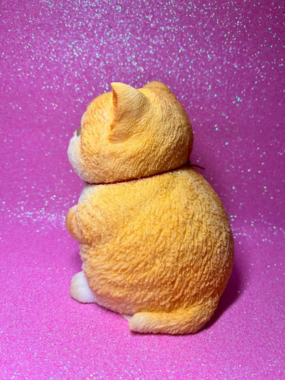 Chubby Cat